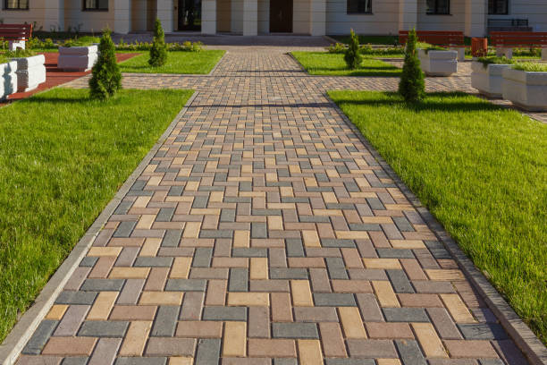 Best Custom Driveway Pavers  in Elephant Butte, NM