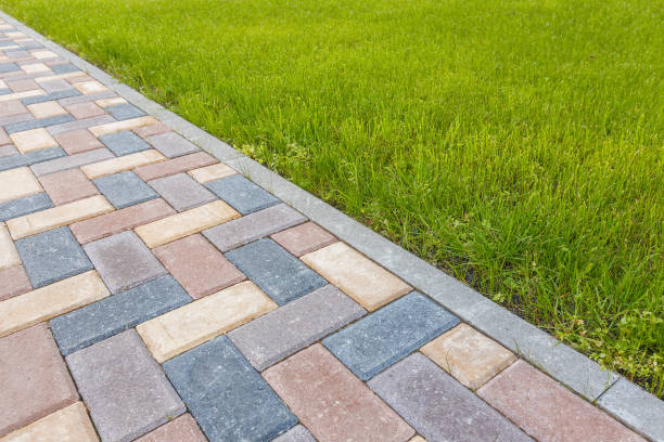 Best Local Driveway Pavers  in Elephant Butte, NM